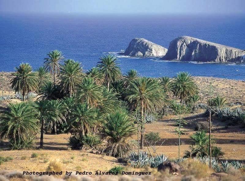 Апартаменты Isleta Del Moro Daniel Ла-Ислета-дель-Моро Экстерьер фото